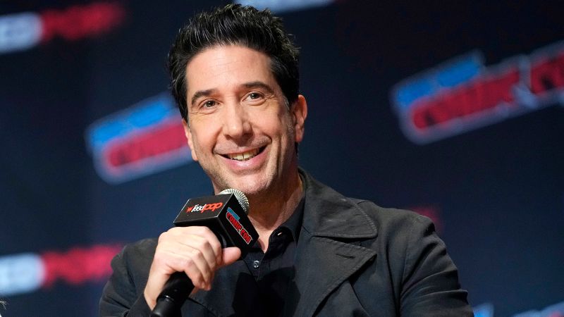 David Schwimmer says he once served Rod Stewart with divorce papers