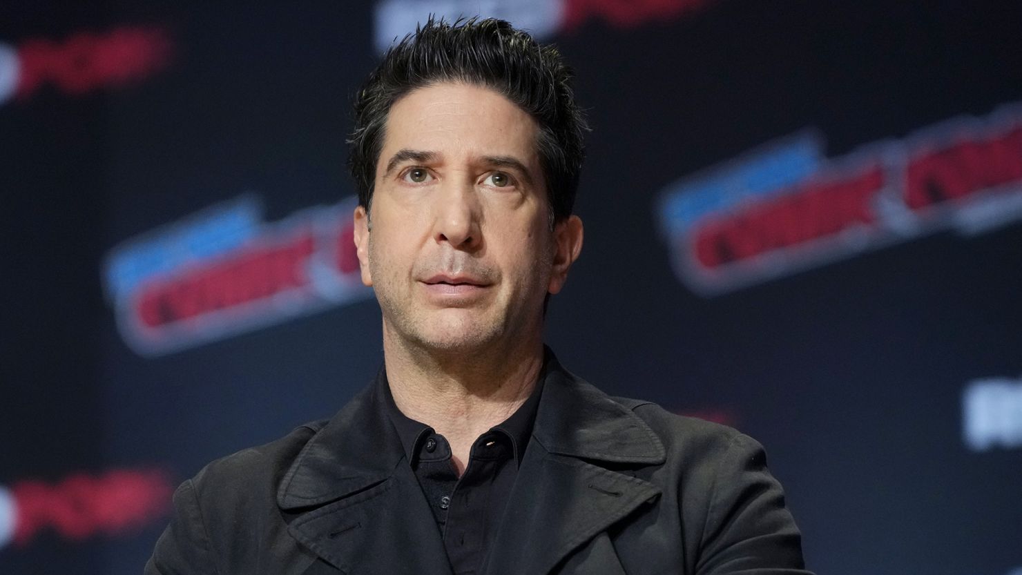 David Schwimmer pictured at the New York Comic Con event in October 2024.