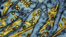 The overall risk to the public from the H5 bird flu virus remains low, health officials say.