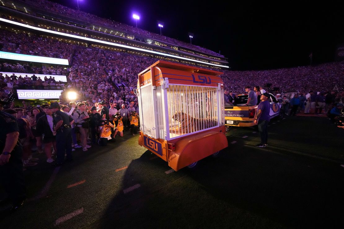 The live tiger was rolled into Tiger Stadium in a cage.