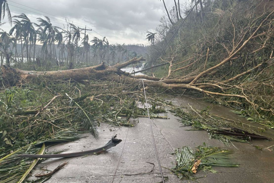 Toppled trees block a road in Viga, Catanduanes province in the Philippines on November 17, 2024.