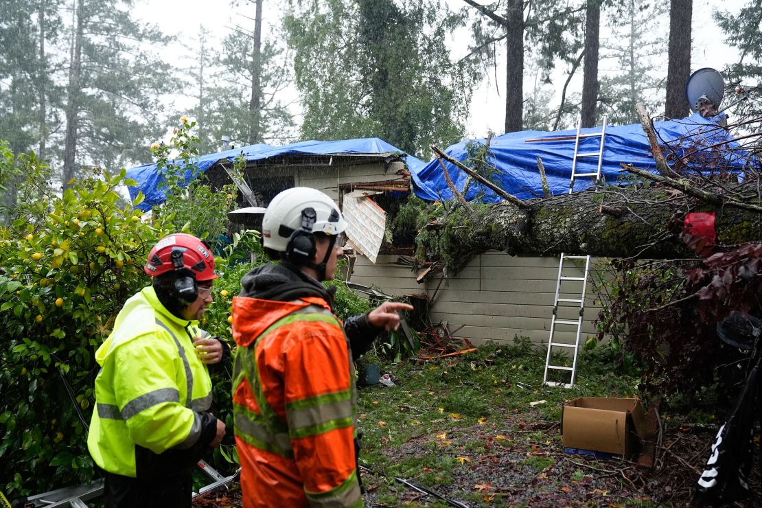 Emergency crews assess the damage from a downed tree on a property in Forestville, California, Thursday.