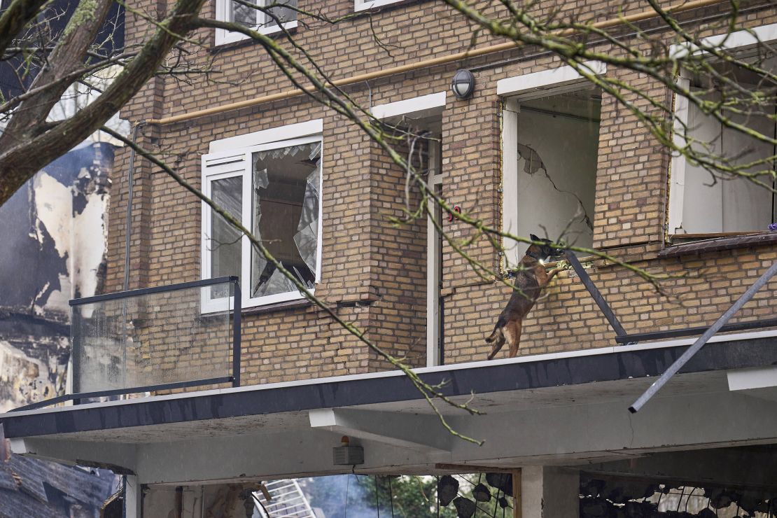 A search and rescue dog looks inside a broken window at the site of the explosion.