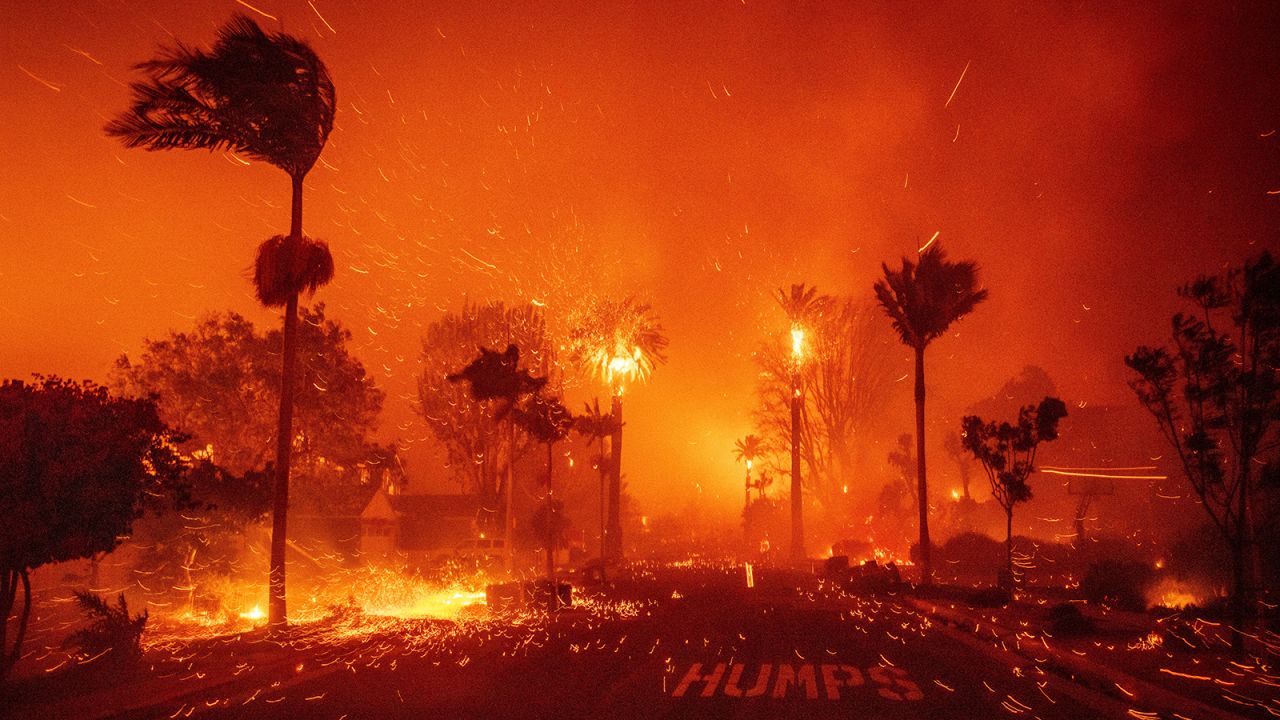 The Palisades Fire ravages a neighbourhood amid high winds in Los Angeles, on January 7, 2025.