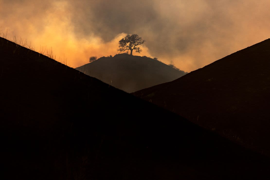 Un solitario árbol quemado permanece en una colina después de que el incendio Kenneth arrasara colinas en la sección de West Hills de Los Ángeles el 9 de enero.