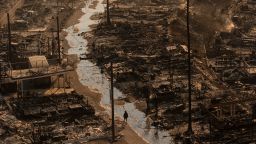 A person walks amid the destruction left behind by the Palisades Fire in the Pacific Palisades neighborhood of Los Angeles on January 9.