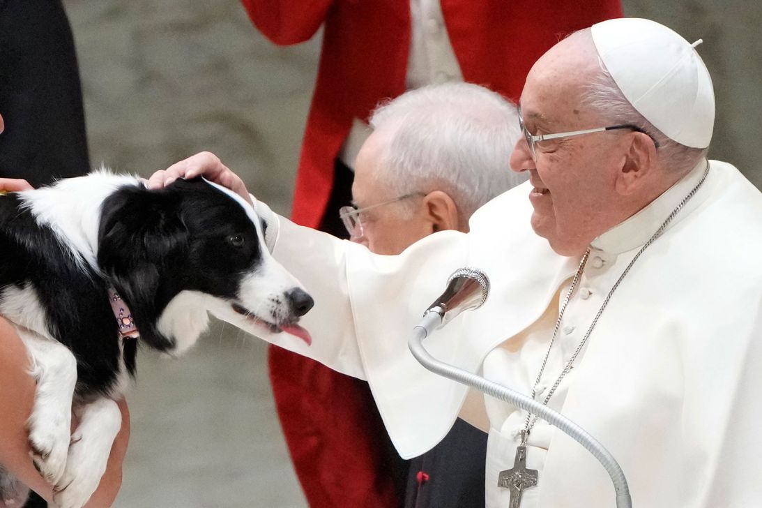 Pope Francis pets a dog during a performance of circus artists at the Vatican on January 15, 2025.