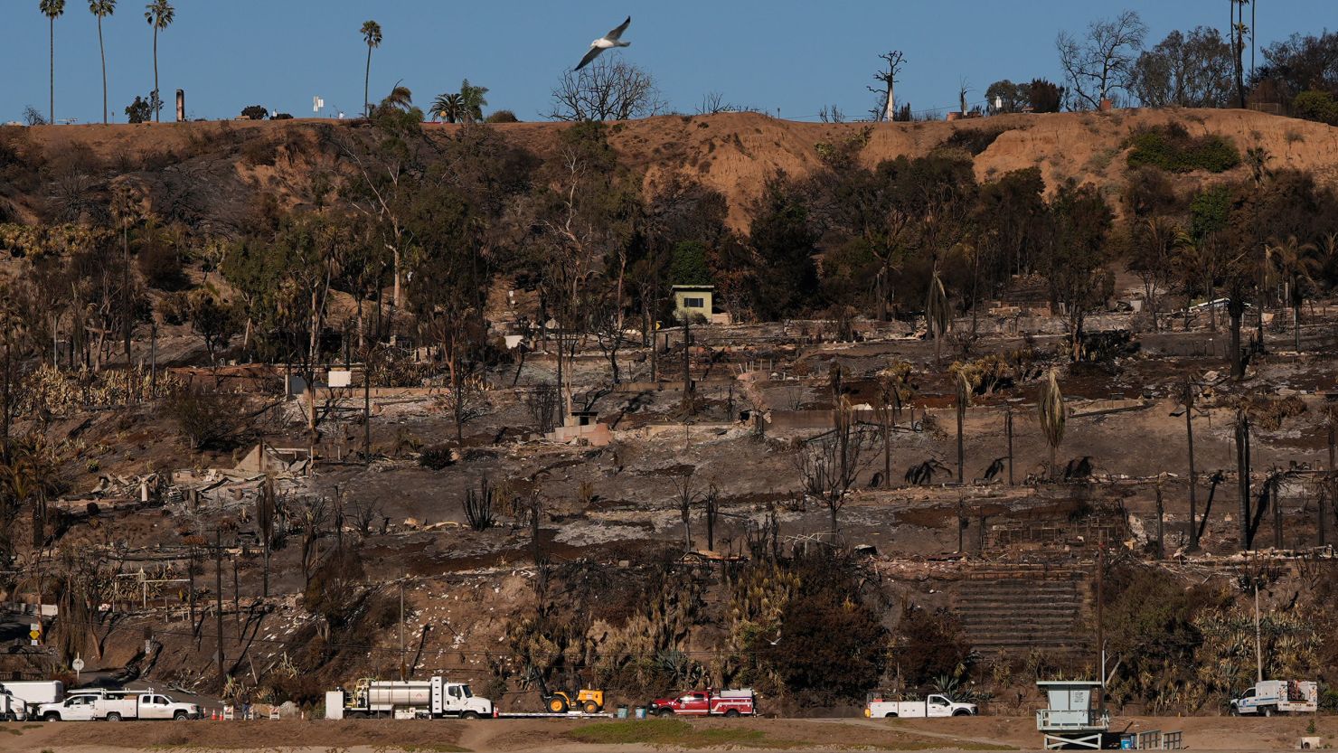 Homes and trees destroyed by the Palisades Fire are seen along the coastline on January 15, 2025, in the Pacific Palisades neighborhood of Los Angeles.