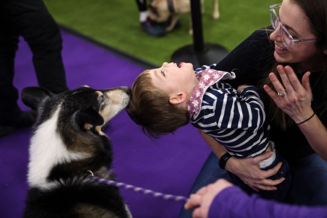 Nico Hutkin, center, reacts after feeding a dog on Saturday.