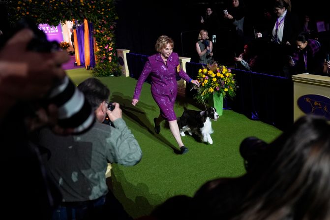 Robin Novack and Freddie, an English springer spaniel, arrive for the best in show competition on Tuesday.