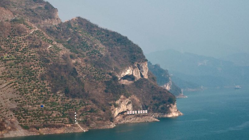 China’s ‘Puppy Mountain’ goes viral