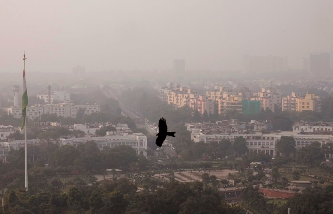 A bird flies through a thick layer of smog in New Delhi, India, on November 20, 2024.