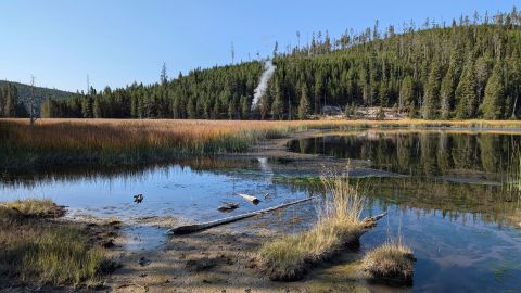 In this photo released by the USGS, a plume of steam is seen rising from a newly discovered thermal feature near Nymph Lake in Yellowstone National Park, Sept. 1, 2024, near Mammoth Hot Springs, Wyo.