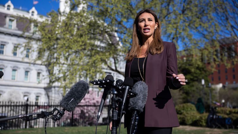 Alina Habba: DOJ lawyer grilled by appeals court on legitimacy of her role as US attorney in New Jersey
