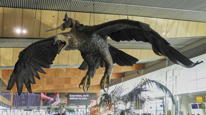 Huge ‘Hobbit’-themed eagle sculptures to depart New Zealand airport