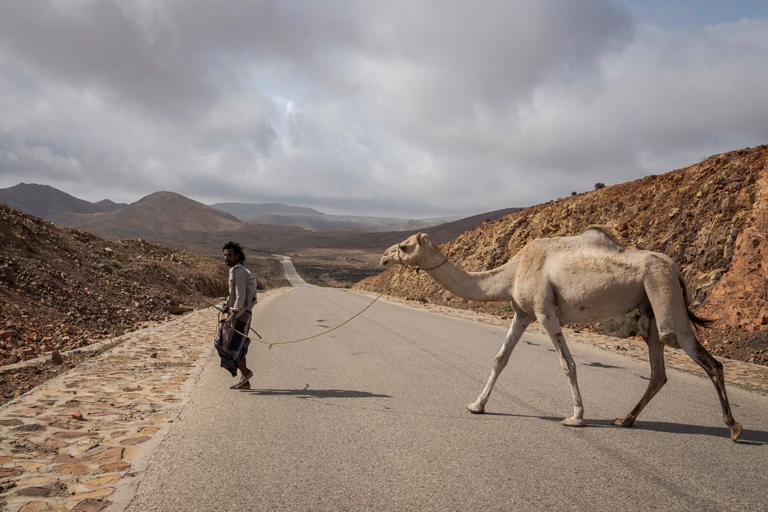 A camel herder crosses the road on the Yemeni island of Socotra on September 23, 2024.