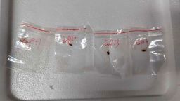 This image provided by United States District Court For The Eastern District Of Michigan shows toxic plant pathogens that a Chinese scientist entered the US last year stashed in his backpack, federal authorities said Tuesday, June 3, 2025, as they filed charges against him and a girlfriend who worked in a lab at the University of Michigan.