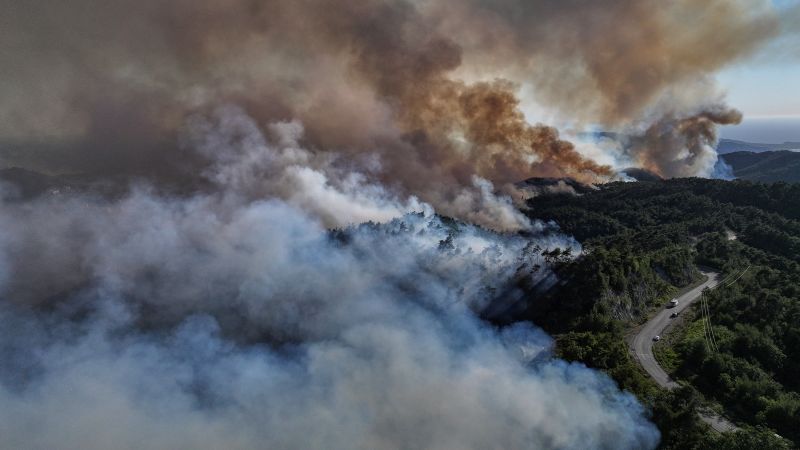 Wildbires прониква през горите в сирийския бряг на суша в основен тест за ново правителство 