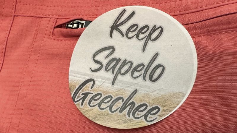 Georgia’s highest court sides with slave descendants fighting to protect threatened island community