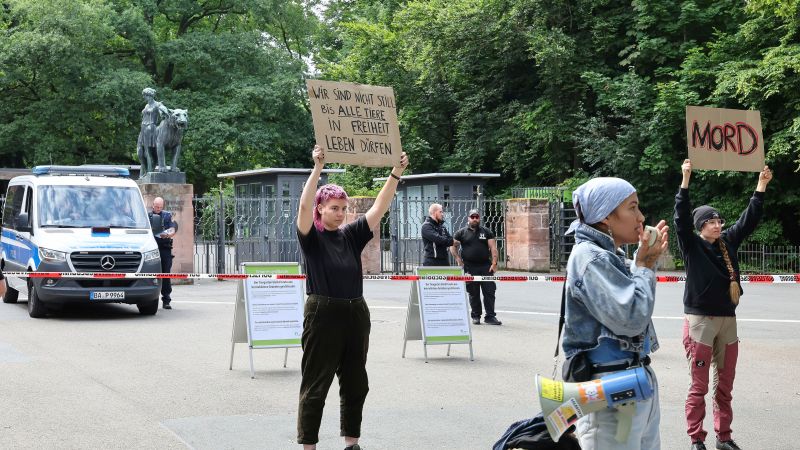 Германският зоопарк убива 12 бабуини, които нямаше достатъчно място за настаняване, въпреки че протестите 