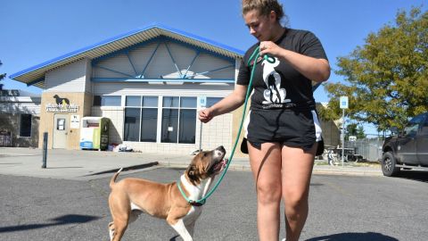 Izzy Zalenski, right, walks Paul outside the Yellowstone Valley Animal Shelter in Montana on September 12, 2025.