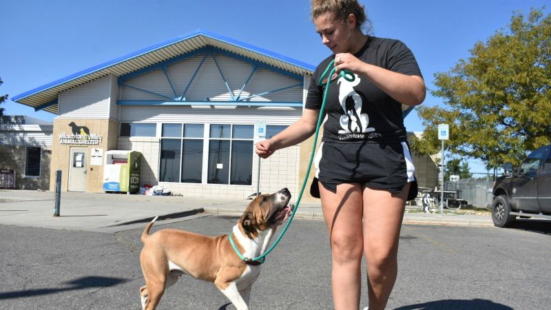 Meth burn by FBI smokes out Montana animal shelter