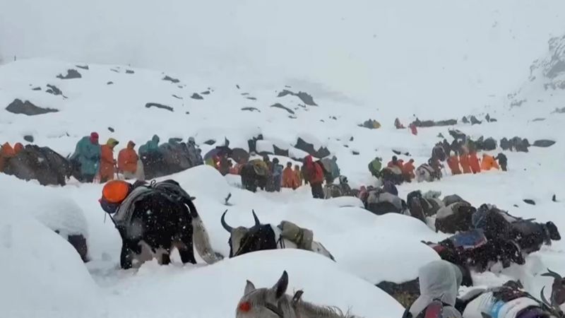Everest Blizzard Strands Hundreds: Hiker Recounts Digging Out With Cooking Pots