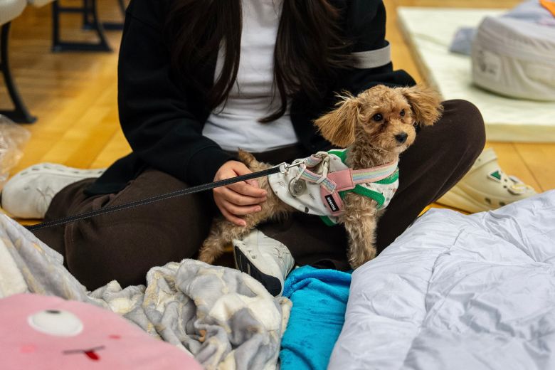 A pet dog with its owner rest at a temporary shelter near the fire scene at Wang Fuk Court, a residential estate in the Tai Po, Hong Kong, on November 27, 2025.