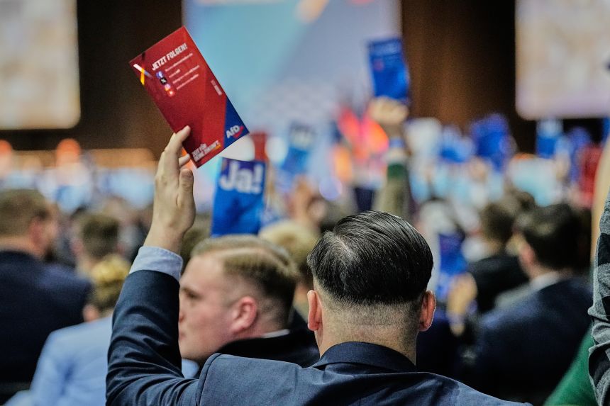 Delegates vote during the re-founding ceremony of the AfD youth organization in Giessen, Germany, on Saturday.