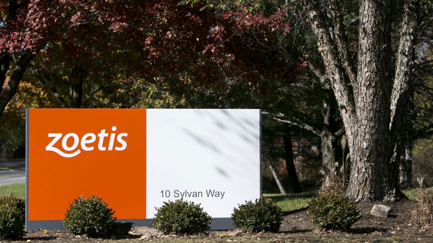 A logo sign outside of a facility occupied by Zoetis, Inc., in Parsippany, New Jersey.