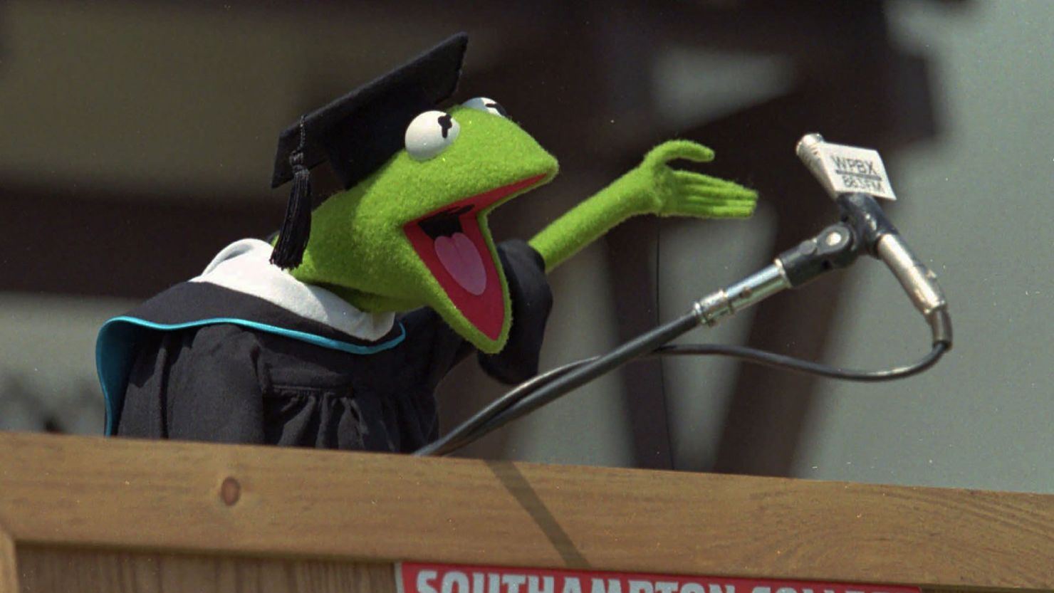 Kermit The Frog Taken Speech Family Guy Kermit The Frog will deliver the commencement speech at the University
