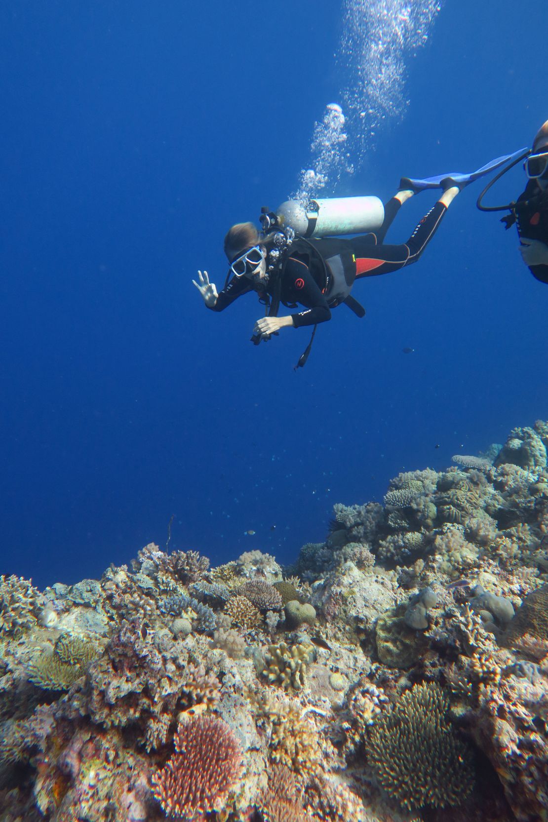 The Pandan Island Resort, a pioneering eco-dive resort, is a popular option for Apo Reef visitors.