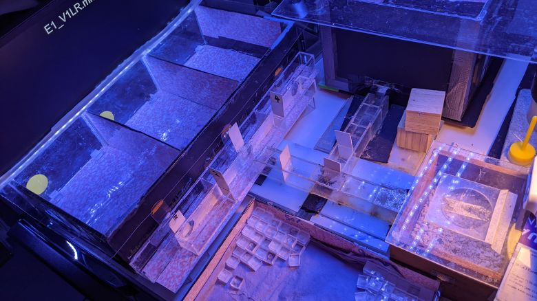 The researchers designed a maze to test bees' ability to distinguish between long and short flashes of light.