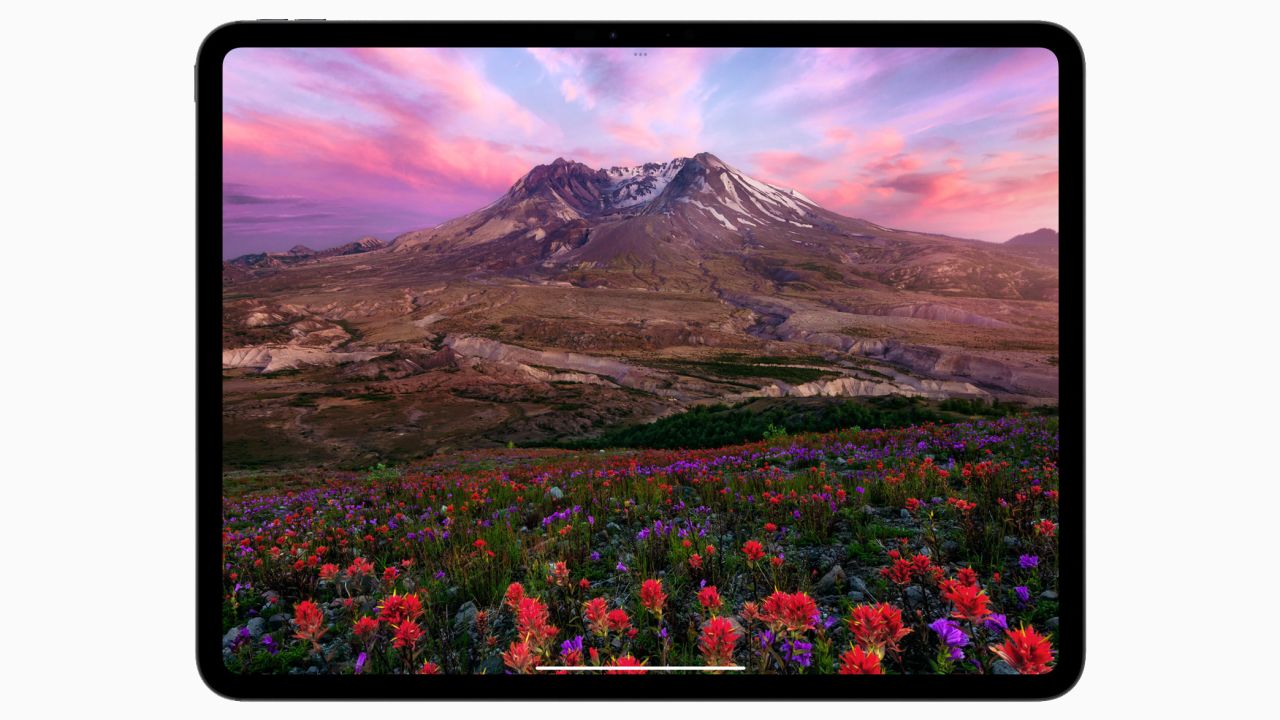 The Apple iPad Pro with M4 featuring an image of a mountain behind a floral landscape