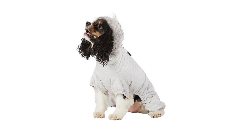 Arcadian dog hot sale robe