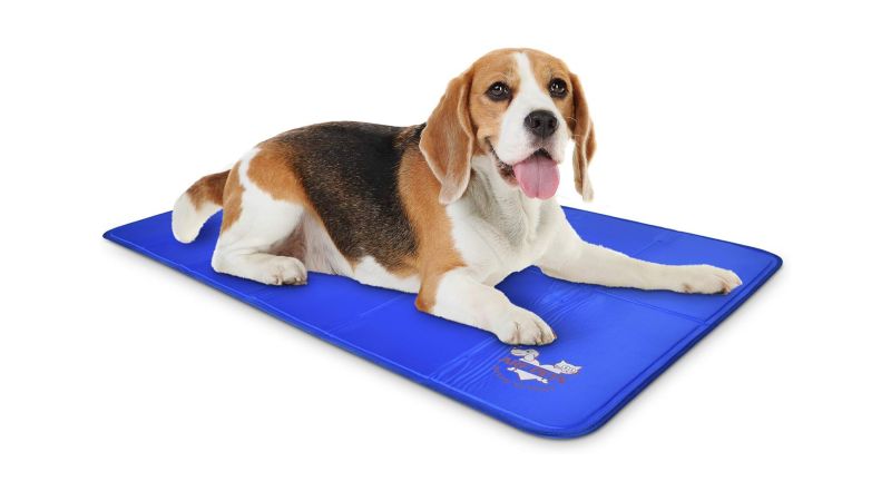 Best cooling mats and pads for dogs in 2024 tried and tested CNN Underscored