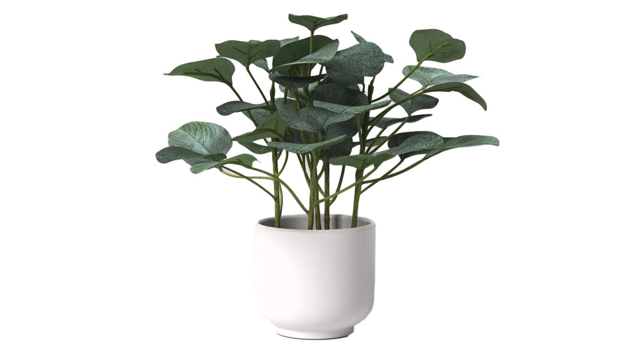 Artificial Eucalyptus Plant Dark - Threshold?.jpg