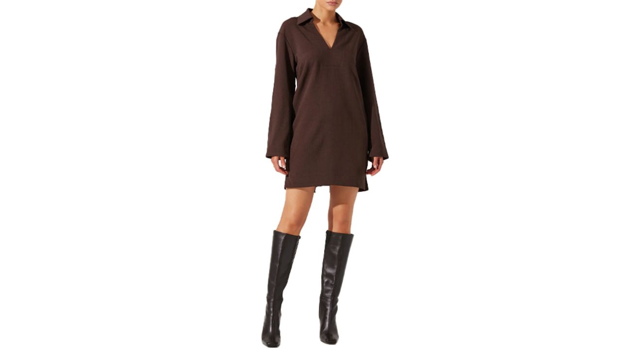 ASTR the Label Collar Long Sleeve Shift Dress