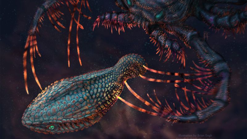 Регистрирайте се за бюлетина за научна теория на CNN   Чувствителният