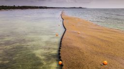 El estado mexicano de Quintana Roo trabaja con la Armada de México para recolectar las algas en el agua, dice su gobernador.