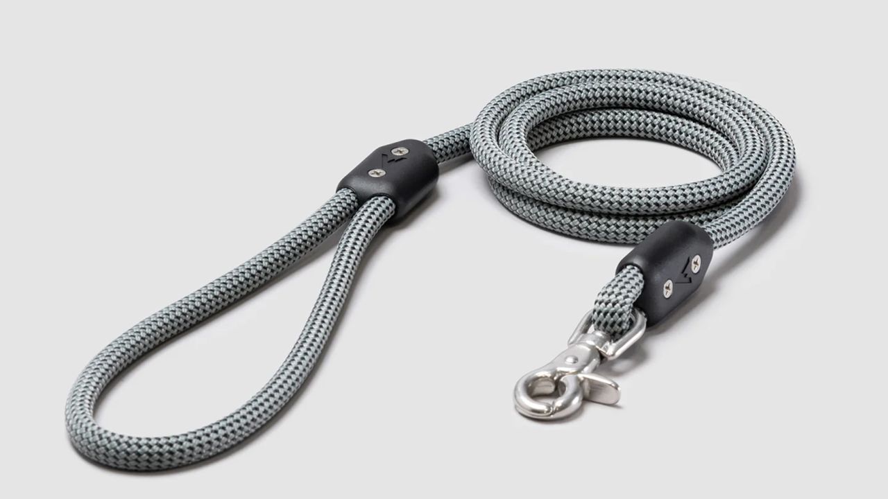 Atlas Pet Company Lifetime Leash product card cnnu.jpg