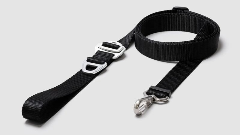 Hands free leash for small dogs hotsell