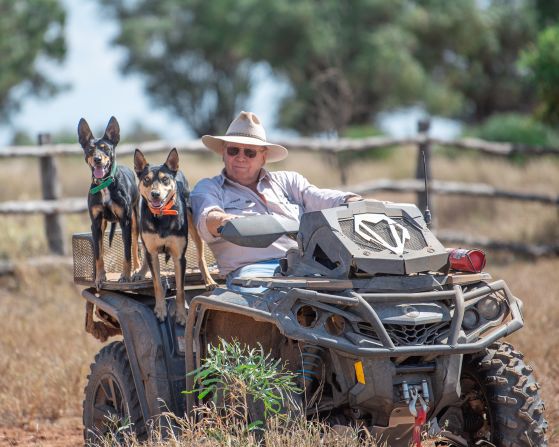 <strong>Australian Kelpie:</strong> This photograph of cattle farmer Stephen Lund with two of his working dogs was taken during a visit to Australia.