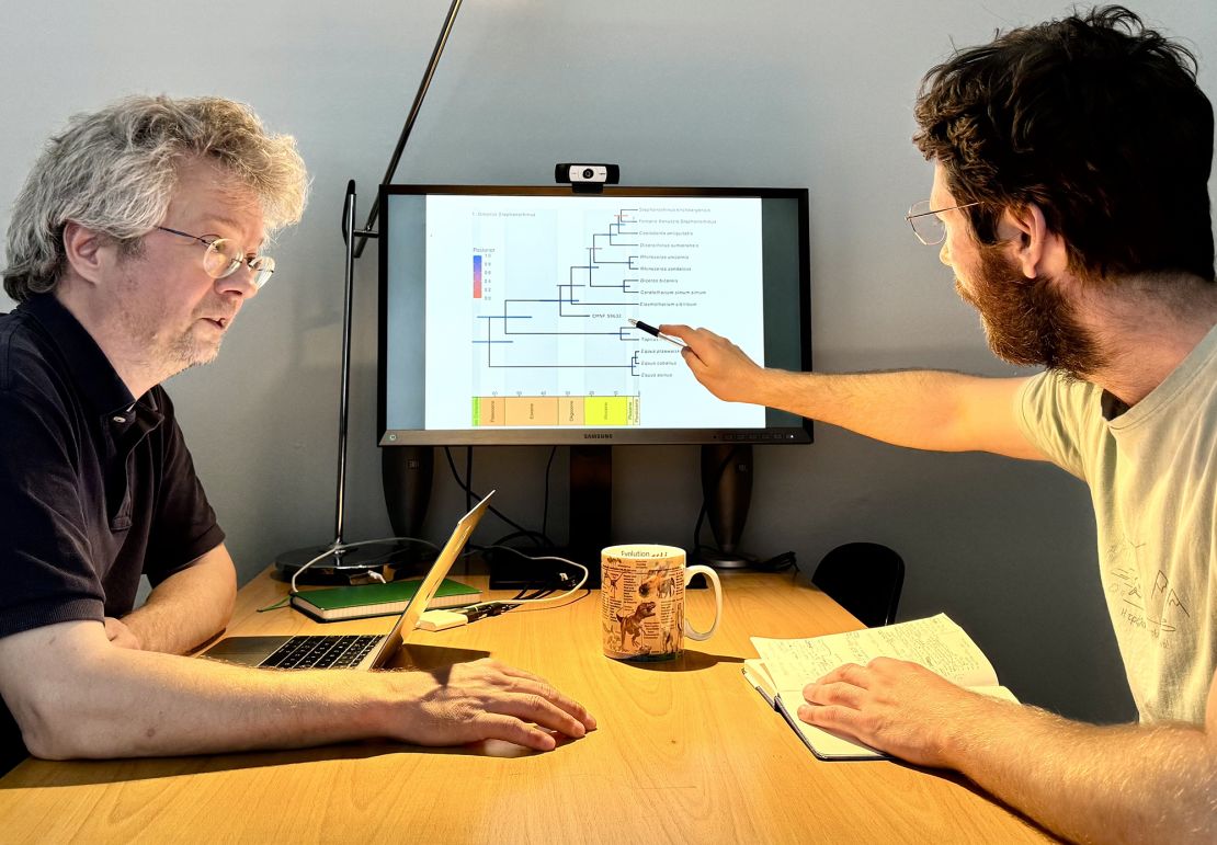 Ryan Paterson, right, and Enrico Cappellini, left, led the analysis on the rhino tooth fossil.