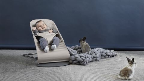 BabyBjörn Bouncer Bliss