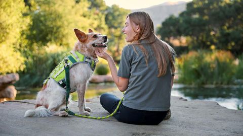 backcountry x petco
