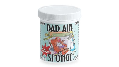 Bad Air Sponge