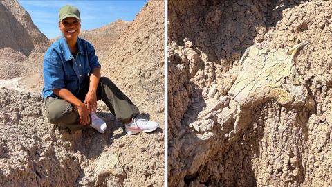 Badlands_Fossils_4.jpg