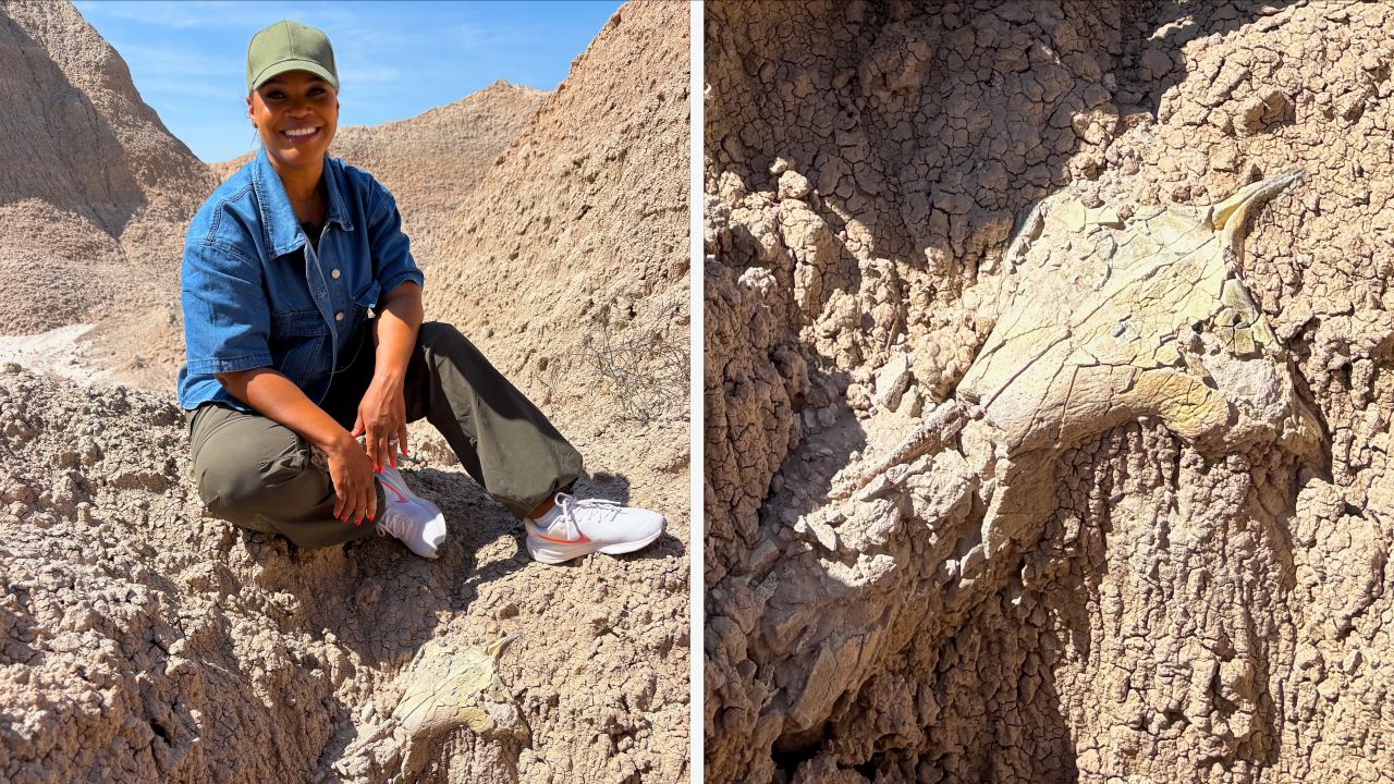 Badlands_Fossils_4.jpg