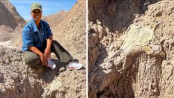 Badlands_Fossils_4.jpg